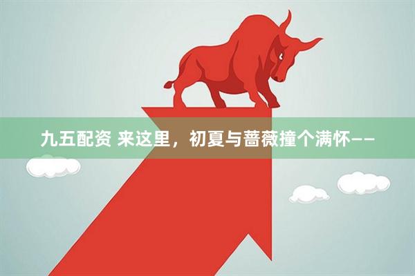 九五配资 来这里，初夏与蔷薇撞个满怀——