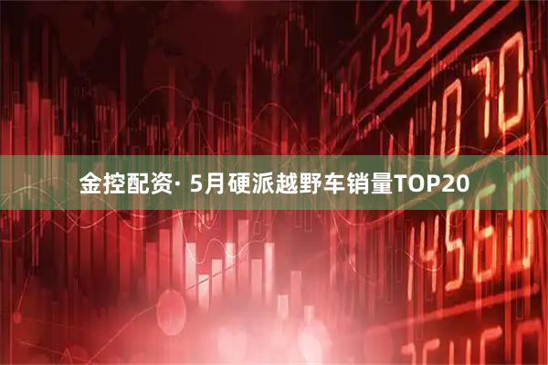 金控配资· 5月硬派越野车销量TOP20