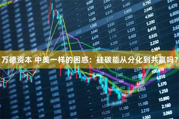 万德资本 中美一样的困惑：硅碳能从分化到共赢吗？